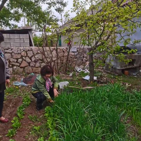 民宿：体验农家院田园生活，除草，摘菜，喂猪。吃的都是没有污染的饭菜，清香可口。其乐无穷。