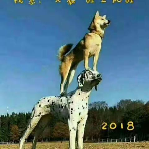 过完年了，迎接2018！