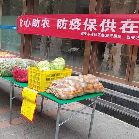 助企纾困 防疫保供 碑林在行动
