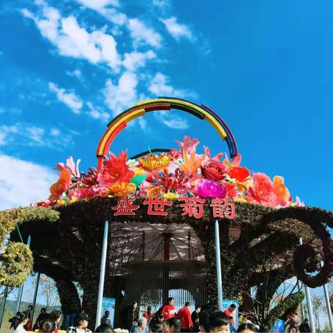 看，此时，秋意正浓花开时...