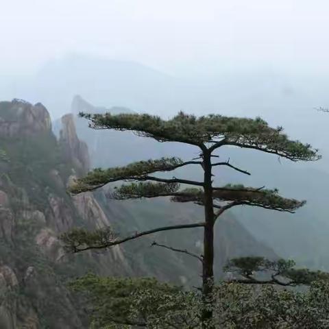 2021年4月22日至25日与友共游江西三清山（自助游），如旅仙境，尽享惬意，难忘之行。（副本）
