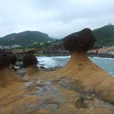 5月6日至13日同学一行宝岛台湾环岛游，享受了宝岛美丽风光和美食，感受了宝岛人民热情好客，确是一次难忘之旅。