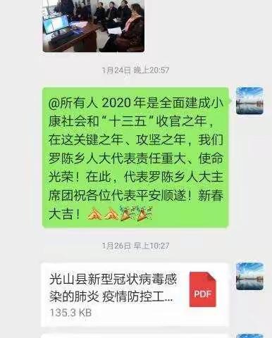 发挥乡人大代表作用  打好疫情防控阻击战———罗陈乡人大代表在行动