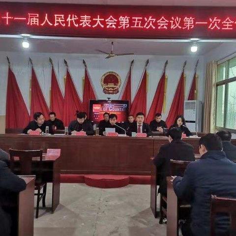 罗陈乡召开第十一届人民代表大会第五次会议