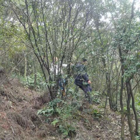 我院测量人员在周末休息时间加班加点顺利完成了大塘口直升机场备选点的测量放样工作