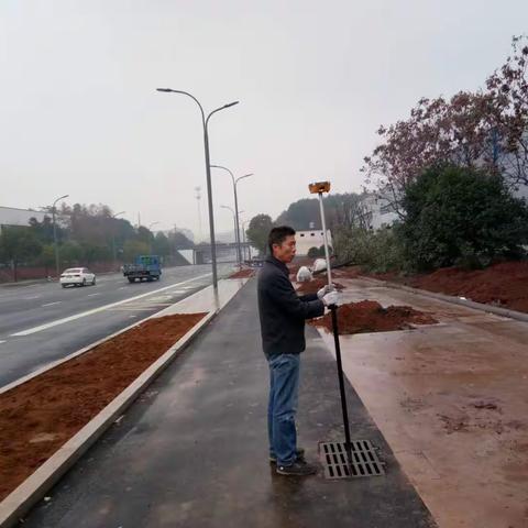 我院完成了桃溪陶村主干道雨污水分流改造工程的测量工作