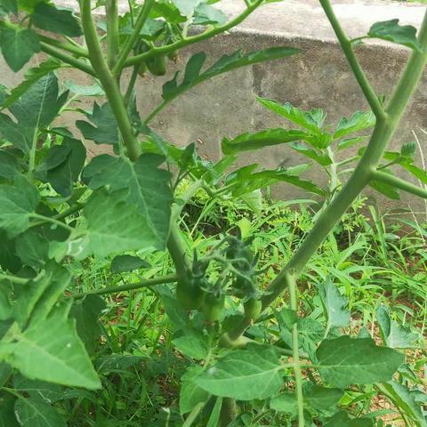 “青年节”之感