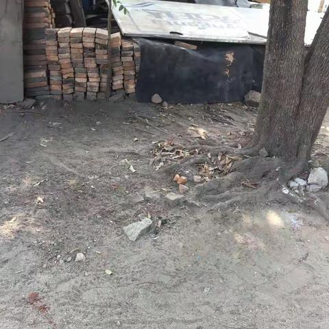 机械厂生活垃圾整改后