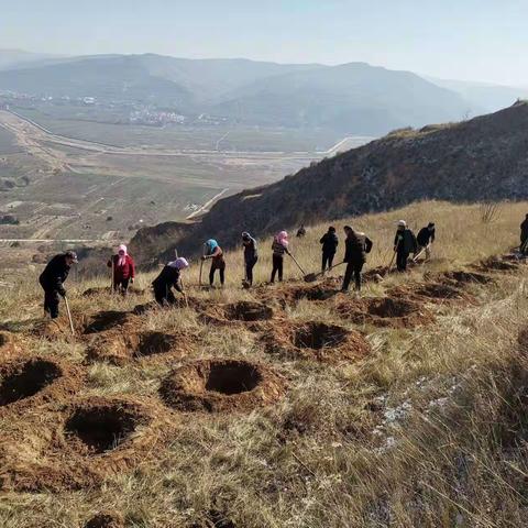 阳川镇：多措并举开展秋冬季造林工作