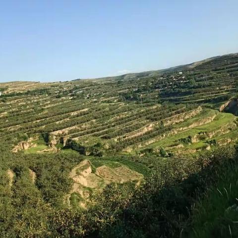 致阳川籍广大乡贤的一封信