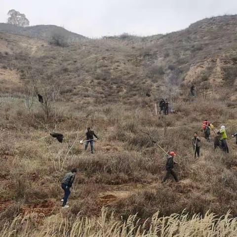 阳川镇：全面发力，统筹推进各项工作