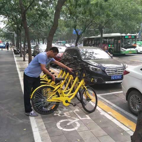 创城在行动（二）