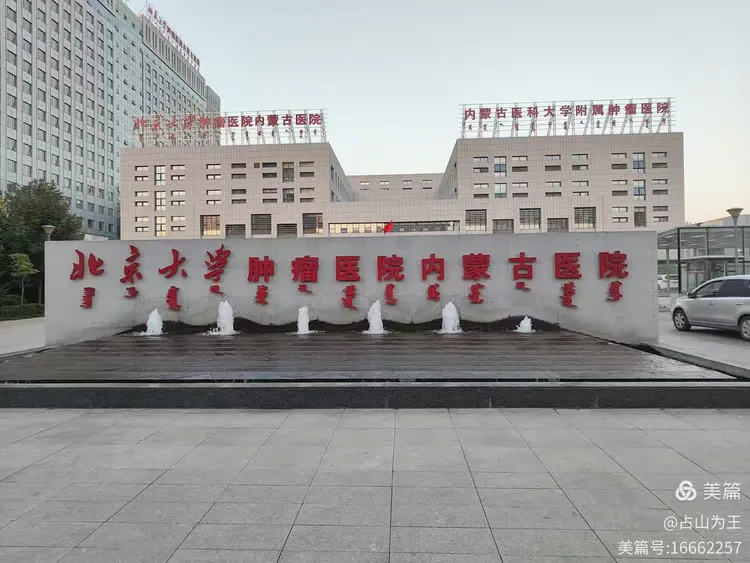 包含北大一院"医院黄牛挂号多少钱一次",的词条