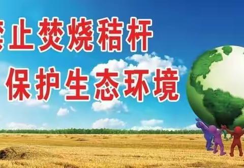 葡萄架乡何庄小学开展“小手拉大手”禁烧秸秆主题班会