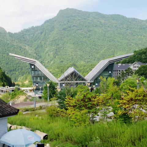 镇安县木王森林公园