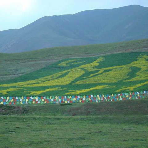 日月山，塔尔寺，嘉峪关