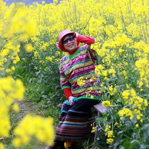 油菜花在晃动(外四章)