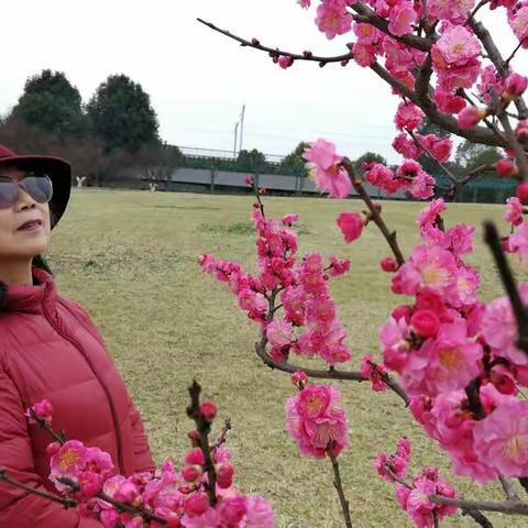 秀丽东方依然秀丽