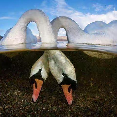 流水碎一月影的美篇