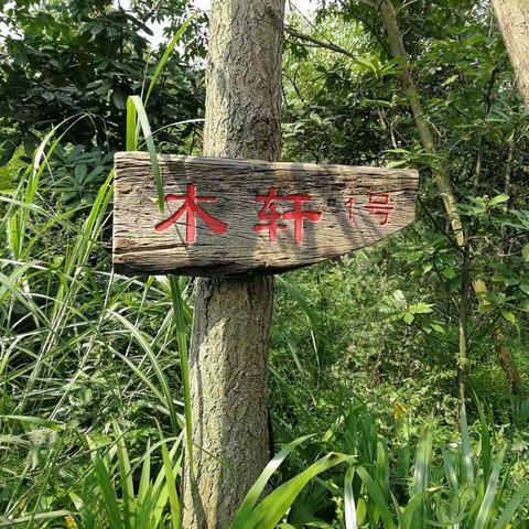 流水碎月影的美篇