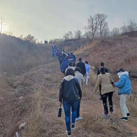 中学生“爱青山”植树考察探究活动