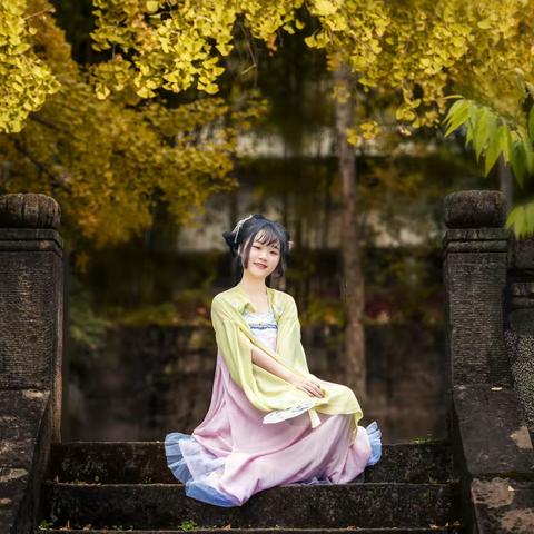 银杏飞处秋意深