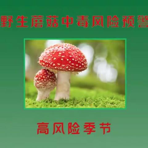 珍爱生命，远离野生蘑菇