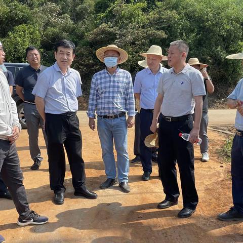 海口市自然资源和规划局局长吴雄带队调研龙湾片区土地整治项目