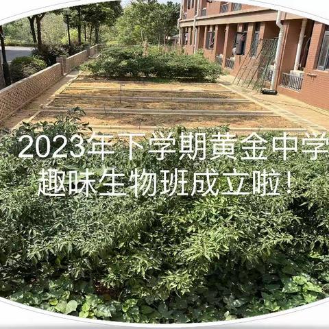 2023年下学期黄金中学趣味生物班成立啦