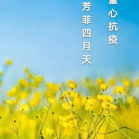 金桥幼儿园童心抗疫——人间芳菲四月天