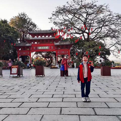 🌴生活虽然普通，但乐在其中🍀