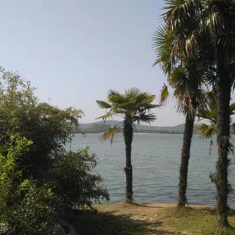 难以忘怀的聚会       2018