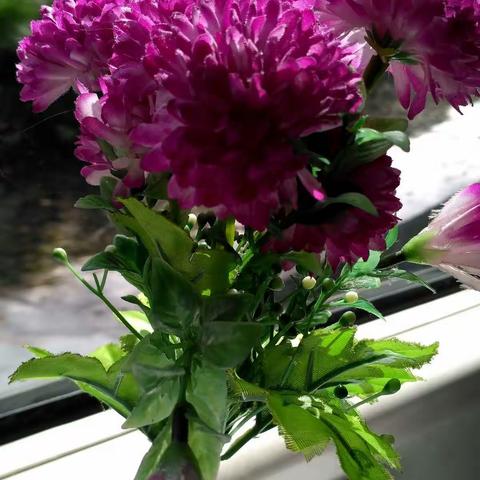 友情相聚……贵阳游