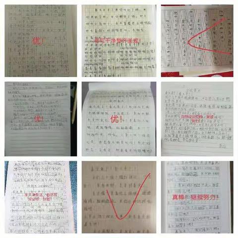 第二实验小学二四班2月3日作业检查情况