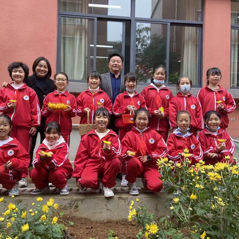 以“劳”树德，以“劳”育美——钟山区第五小学五（6）班菊花采摘记