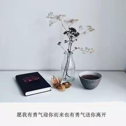 三月线上每日汇总回顾录