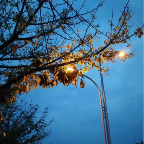 《青春之梦》——九年级班级周报第23期