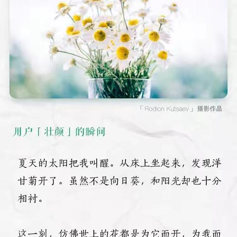 《青春之梦》——九年级班级周报第28期
