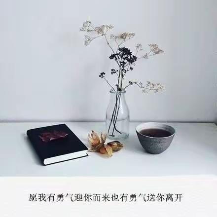 《青春之梦》——九年级班级周报第22期