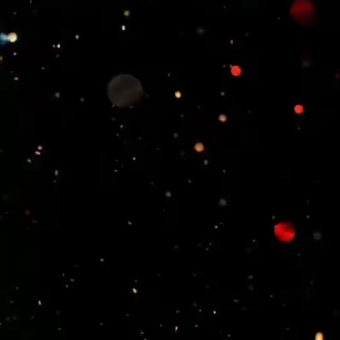 《我是小主播》