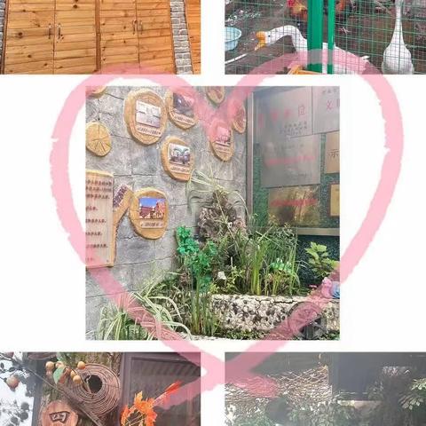 观摩交流促成长，同心共筑幼教梦——参观郑州市教工幼儿园和郑东新区普惠路第一幼儿园