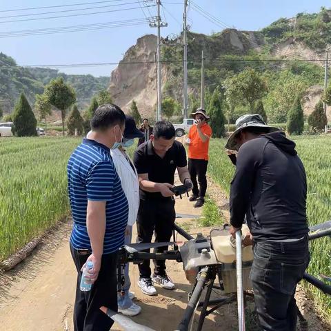 飞防全程监管  监督有效实施
