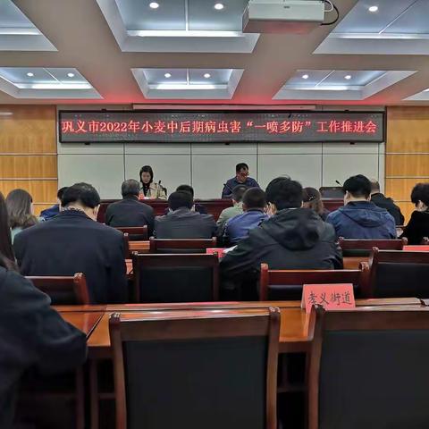 小麦“一喷多防”，保障粮食安全——巩义市2022年小麦中后期重大病虫害“一喷多防”工作推进会召开