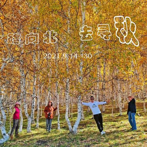 一路向北    去寻秋