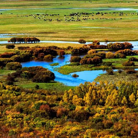 额尔古纳湿地