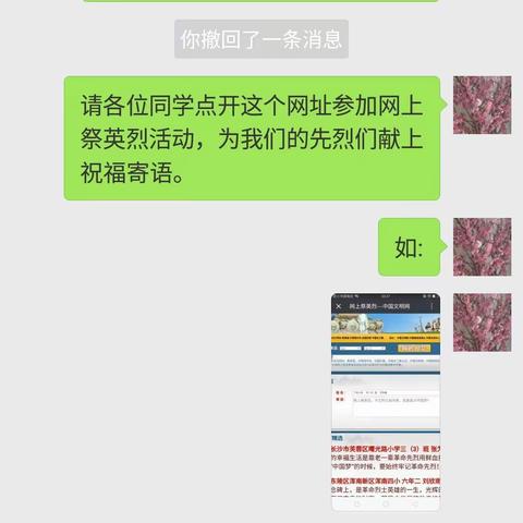 四（3）班网上祭英烈活动照片。