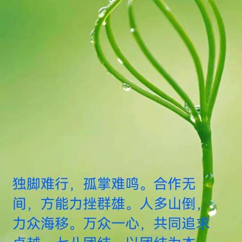 风雨过后见彩虹                      —西姜寨一中七八