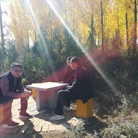 最美杨树林，“醉”美穆寨杨南湾