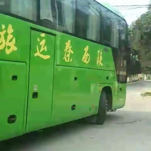 春享临潼 桃醉零口