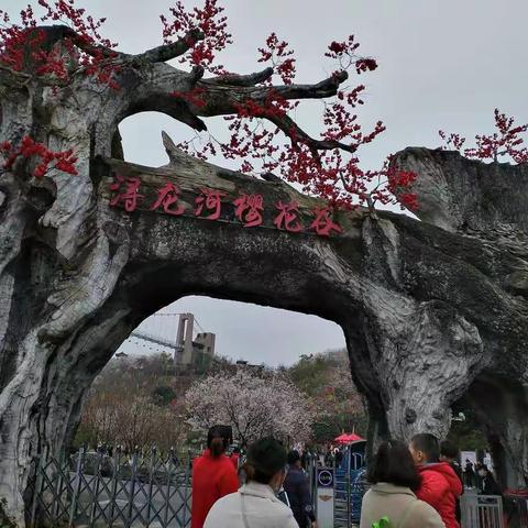 游浔龙河樱花谷和东门村